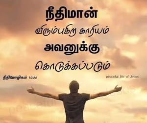 இலங்கையிலுள்ள கனடா காரை கலாசார மன்ற நிதியின் நிலமை.