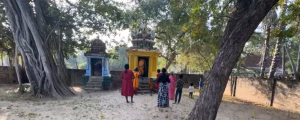 நீலிபந்தனை அம்மன் கோவில்
