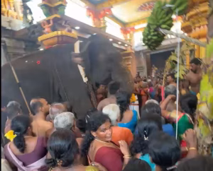 காரைநகர் வலந்தலை மருதடி வீரகத்தி விநாயகர் ஆலயம் மகாகும்பாபிஷேகம் 25.03.2026.