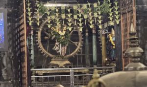 திருவண்ணாமலை… நினைத்தாலே முக்தி கிடைக்கும் பஞ்சபூதங்களில் அக்னியாக வீற்றிருக்கும் அருணாச்சலேஸ்வரர். நடனசபையில் வீற்றிருக்கும் நடேசப்பெருமானும், மூலாலய அருணாசலப்பெருமானின் நந்தி பலிபீடமும்…!